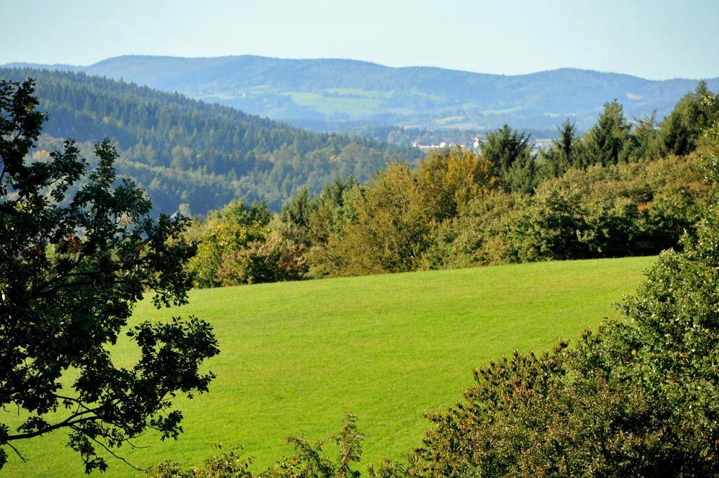 Apartman Na Bubnu Náchod Habitación foto